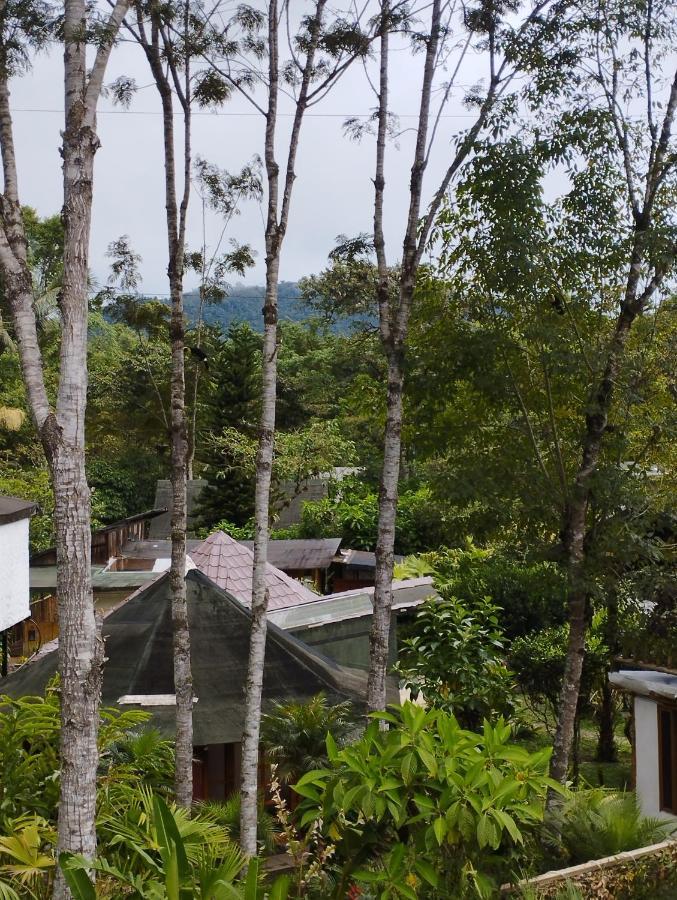 Saguamby Mindo Lodge Экстерьер фото