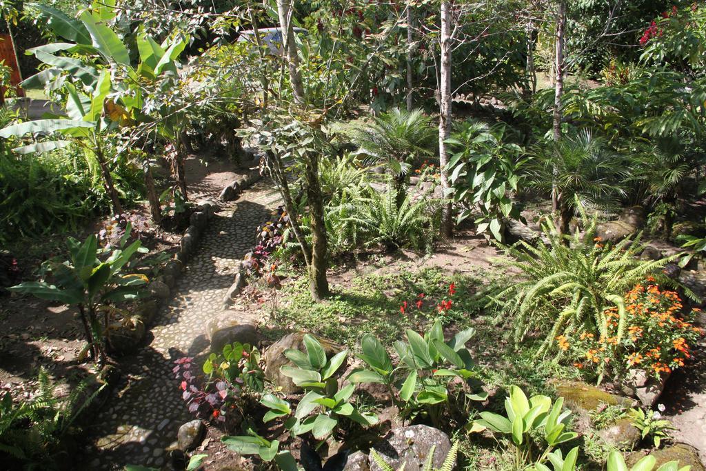 Saguamby Mindo Lodge Экстерьер фото